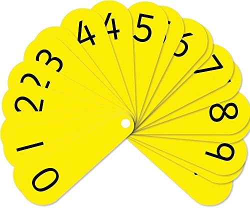**Pupil Double Number Fans Pack Of 10
