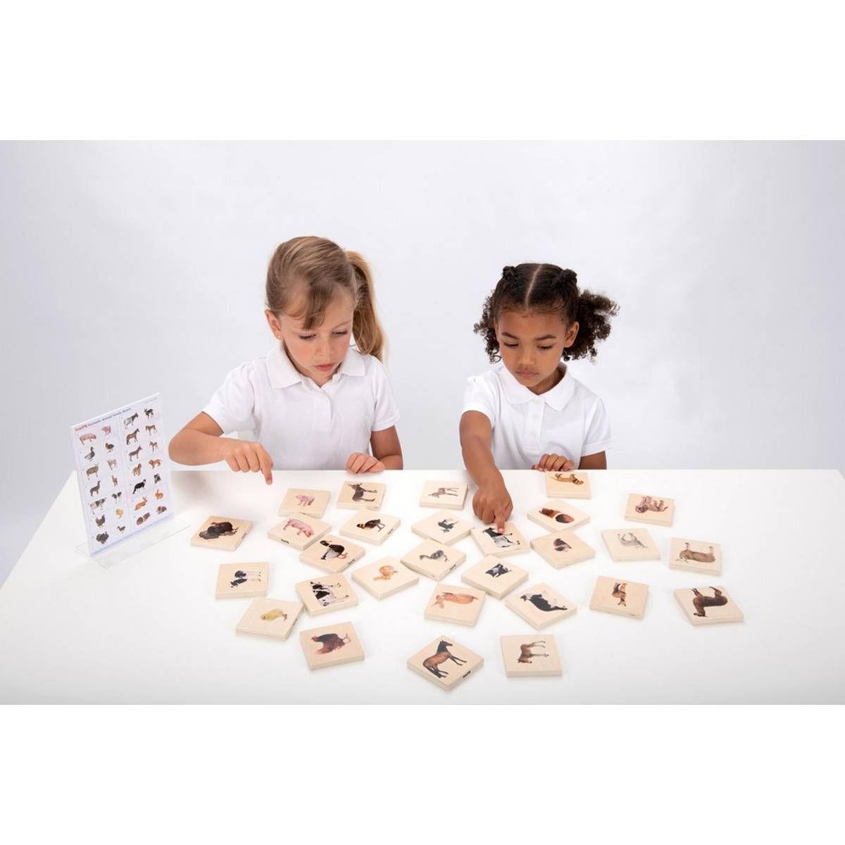 Domestic Animal Family Match