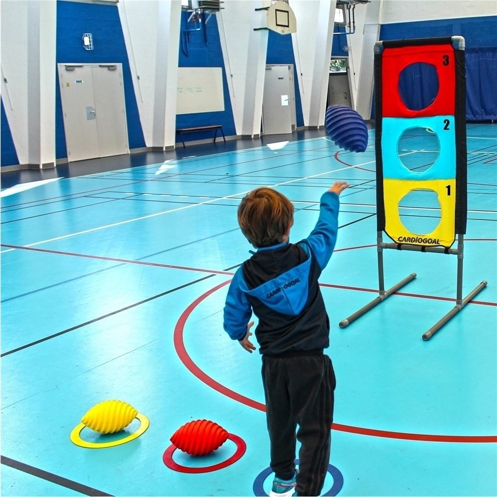 ** Mini Cardiogoal Goal