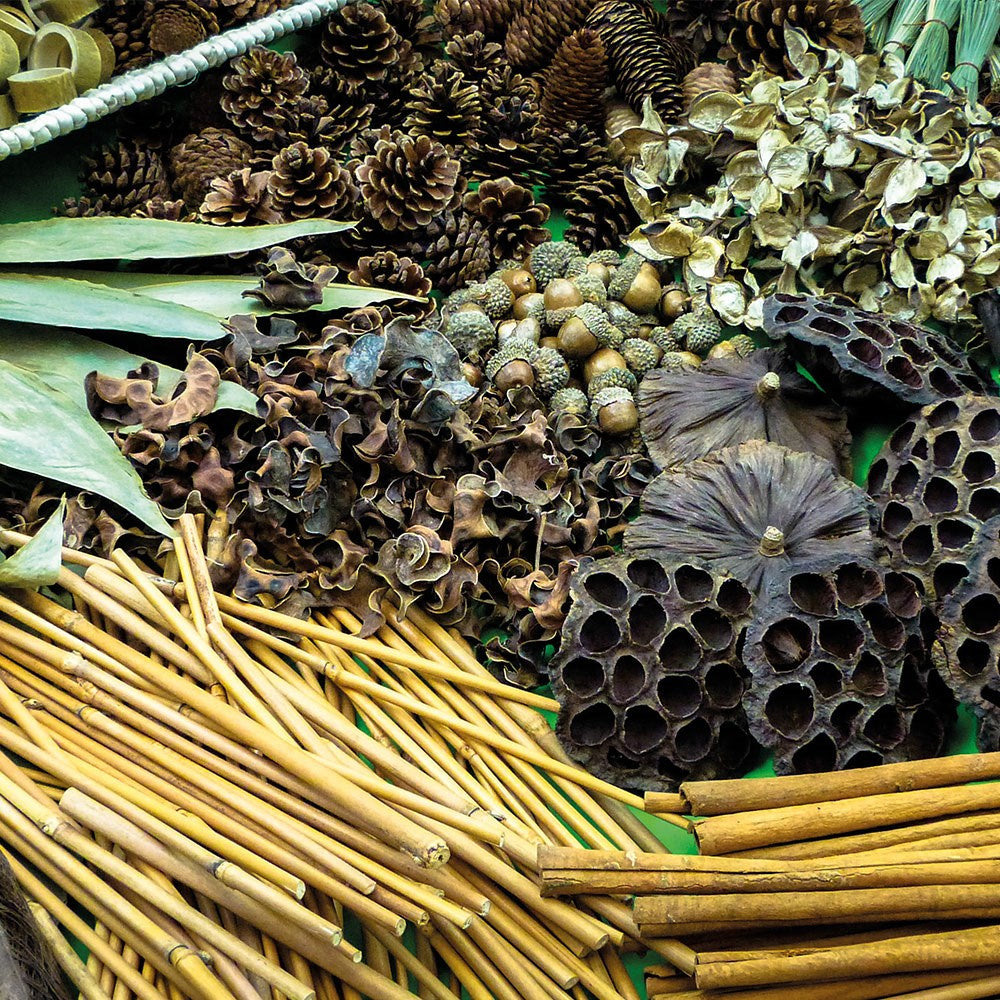 Botanical Treasure Basket Pack