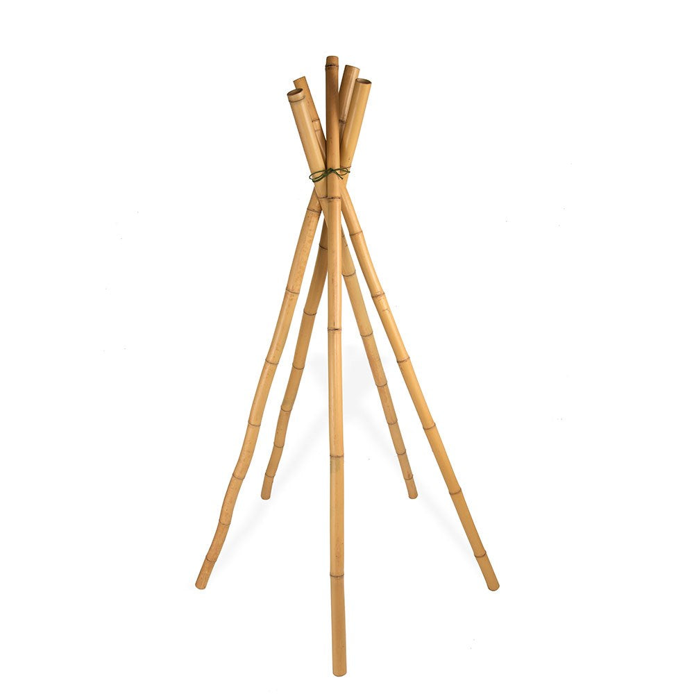 Large Bamboo Sticks