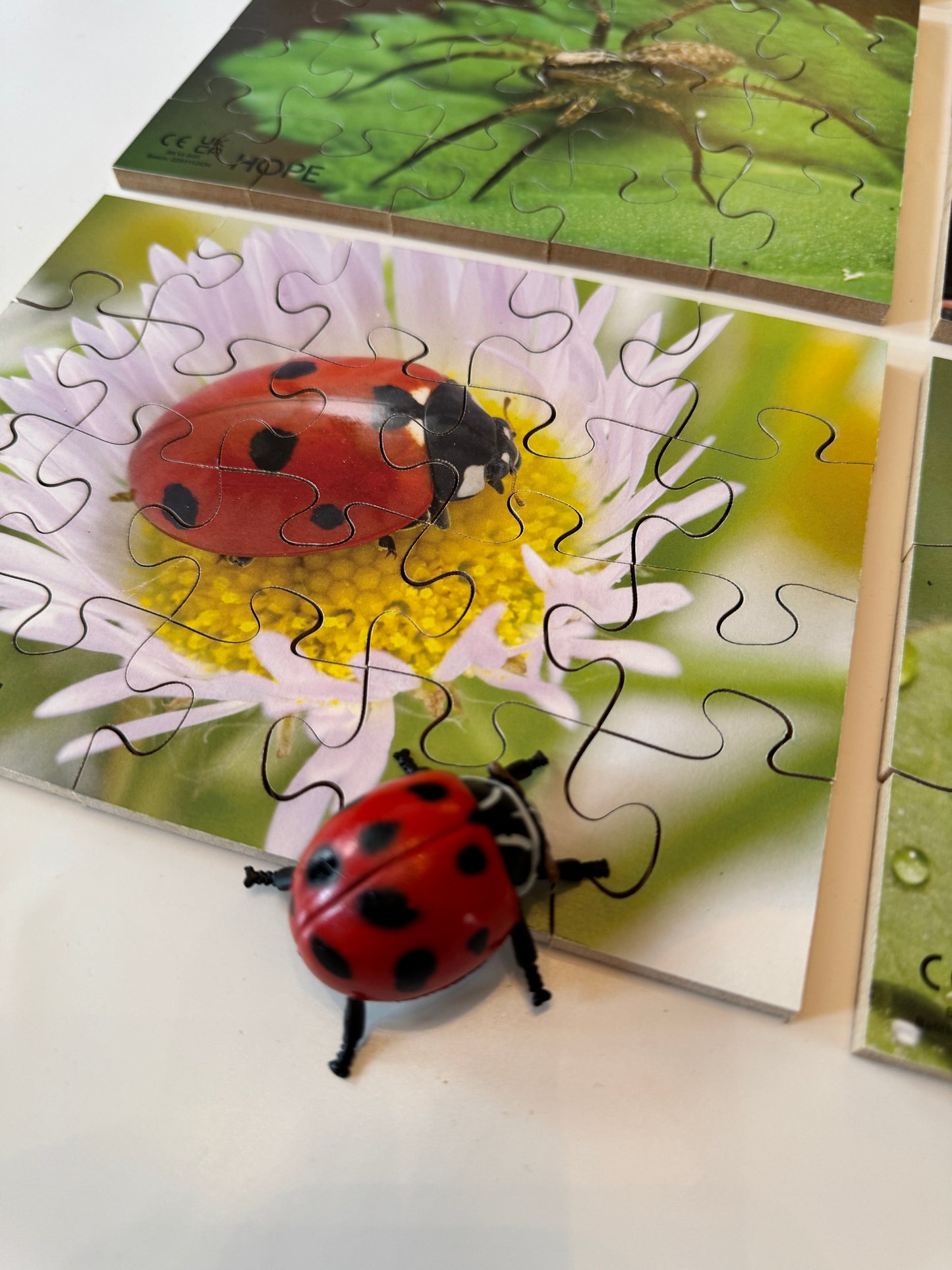 Mini Beasts Puzzles Pack of 12