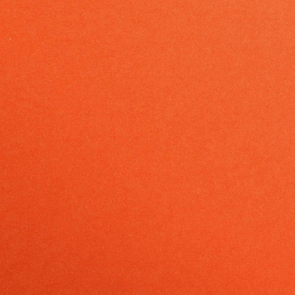 A4 White Card 160Gsm Pack Of 40 - ABC School Supplies