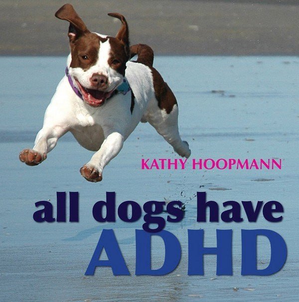 All Dogs Have Adhd (Hardback) - ABC School Supplies