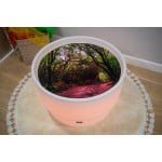 Discovery Jurassic Bundle(Not Includ Sensory Mood Light) - ABC School Supplies