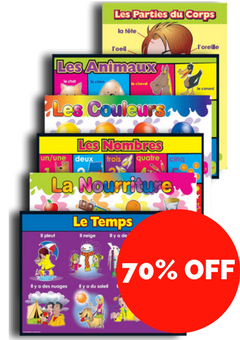French Vocabulary Posters - ABC School Supplies