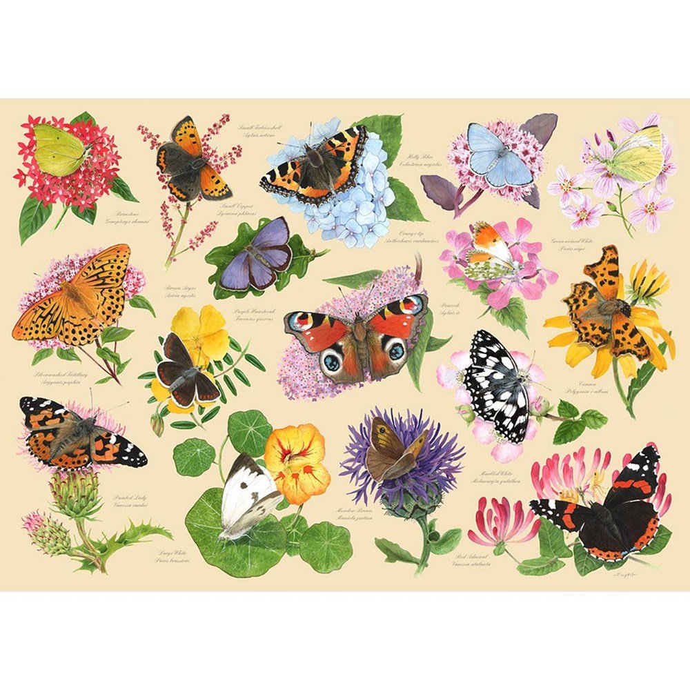 Garden Butterflies - 1000 Piece Jigsaw Puzzle - ABC School Supplies
