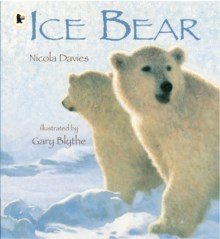 Ice Bear - ABC School Supplies