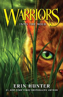 Into the Wild - ABC School Supplies