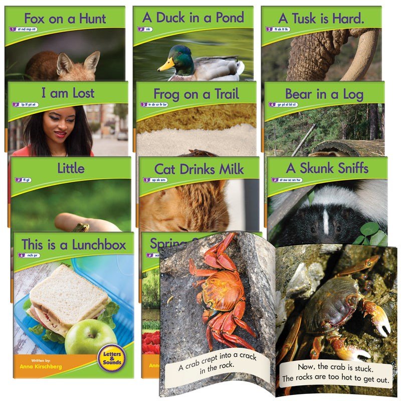 Letters & Sounds Phase 4 Set 1 Non - Fiction - 6 Pack - ABC School Supplies