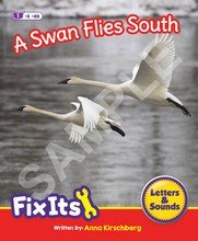 Letters & Sounds Phase 6 Non - Fiction Fix Its Suffixes - ABC School Supplies