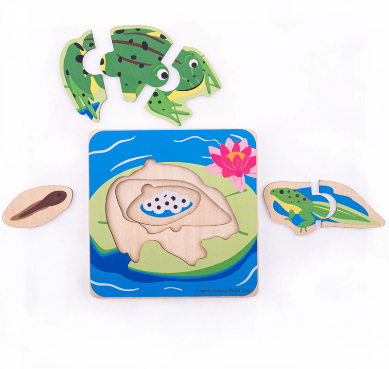 Lifecycle Layer Puzzle - Frog - ABC School Supplies