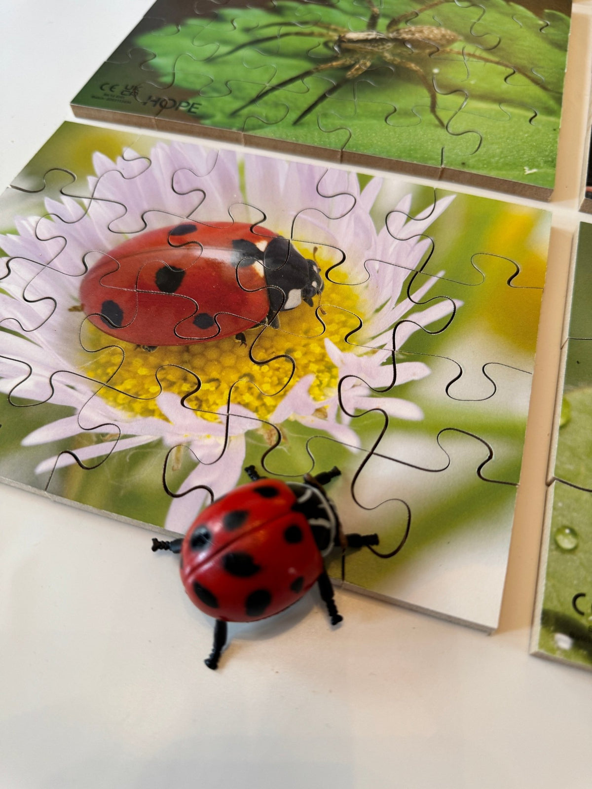 Mini Beasts Puzzles Pack of 12 - ABC School Supplies