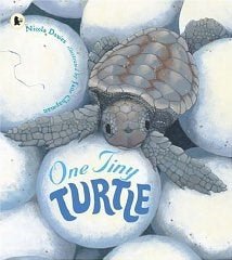 One Tiny Turtle - ABC School Supplies