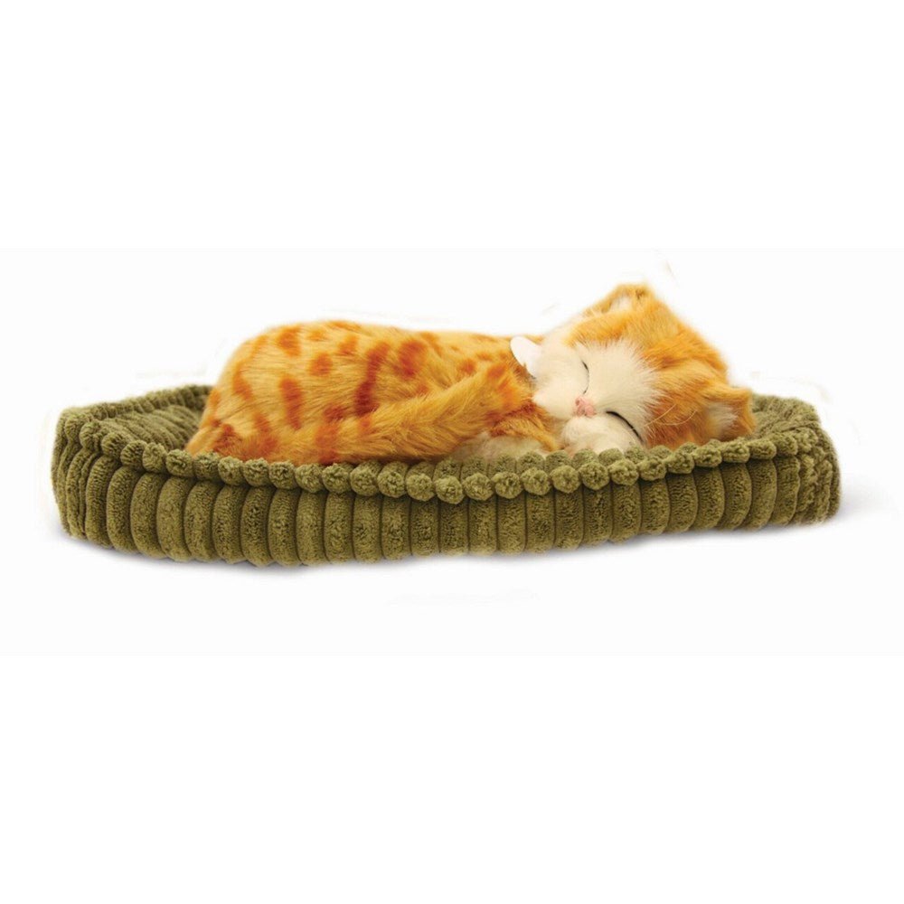 Perfectpetzzz - Sleeping cat red - ABC School Supplies