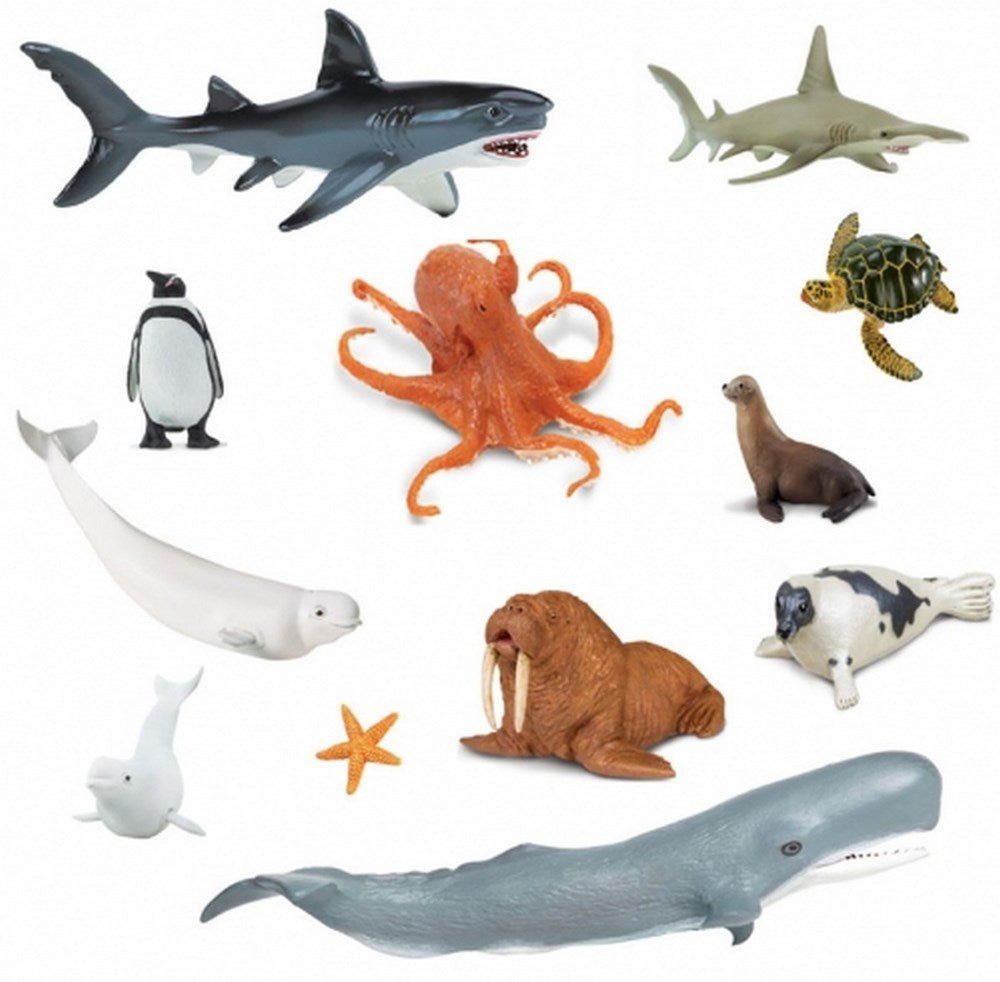 Safari Sea Life Set - ABC School Supplies