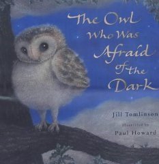 The Owl Who Was Afraid Of The Dark (Picture Book) - ABC School Supplies