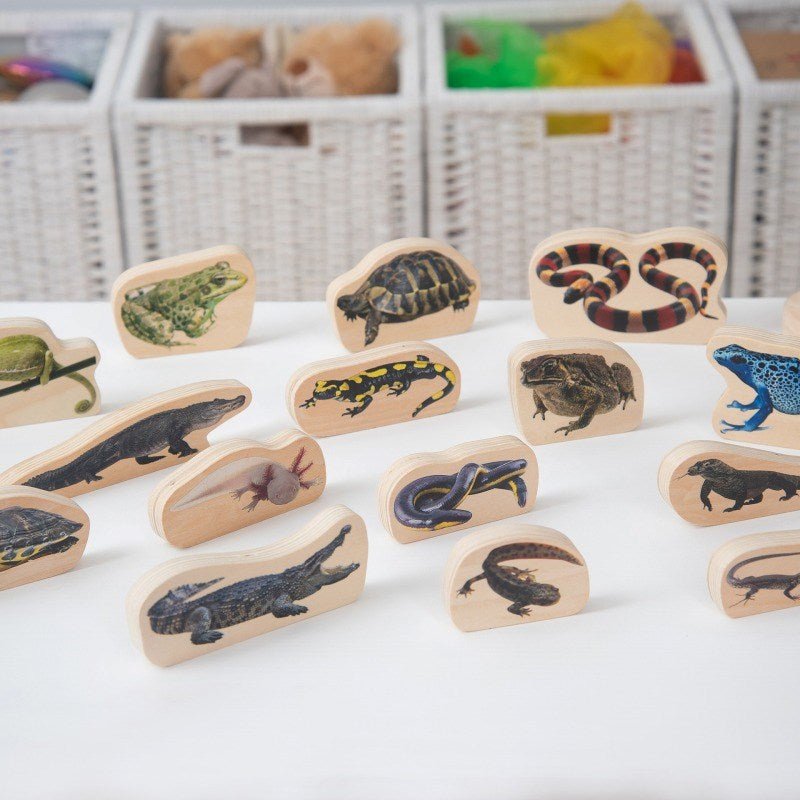 Wooden Reptile & Amphibian Blocks - 15 Pack - ABC School Supplies