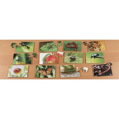Mini Beasts Puzzles Pack of 12