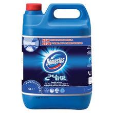 **Domestos Professional Bleach Classic 5 Litre