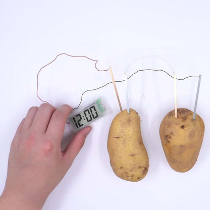 4M STEAM Powered Class Kit: Potato Clock Pack of 6pcs - ABC School Supplies