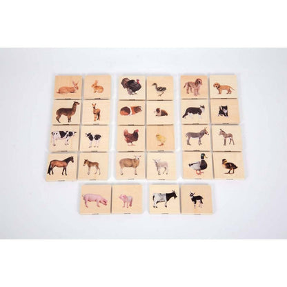 Domestic Animal Family Match