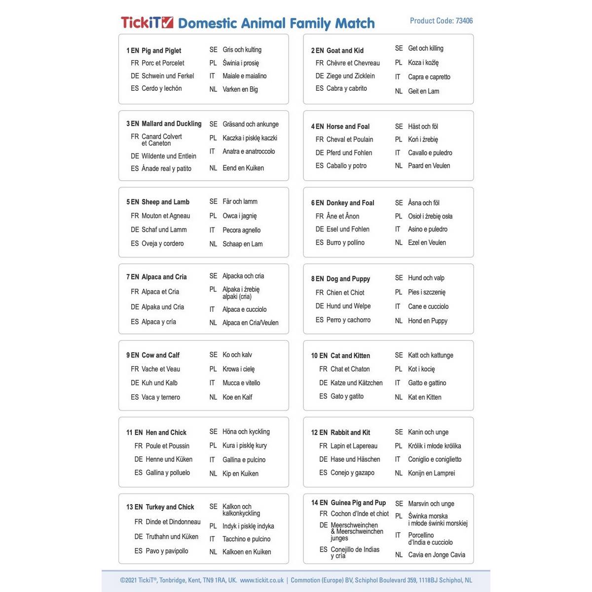 Domestic Animal Family Match
