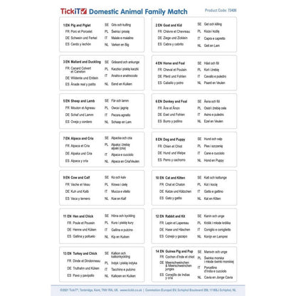 Domestic Animal Family Match