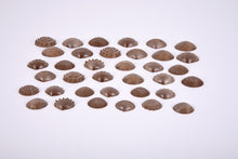 Edx Eco Friendly Tactile Shells