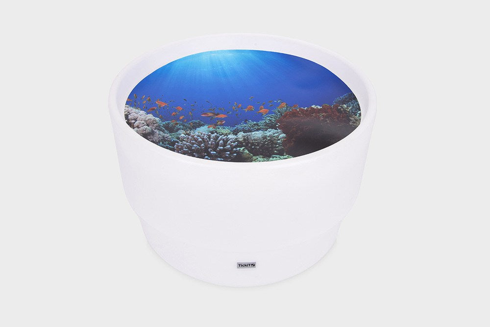 Under The Sea Discovery Play Mat