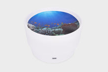 Under The Sea Discovery Play Mat