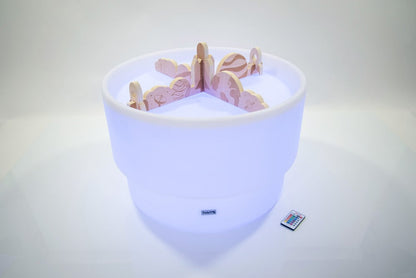 Discovery Space Bundle