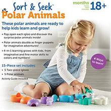 Sort & Seek™ Polar Animals