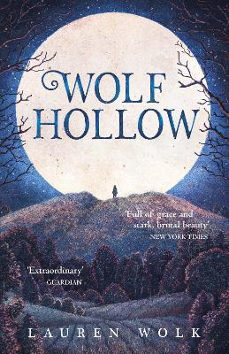 Cover image for Wolf Hollow