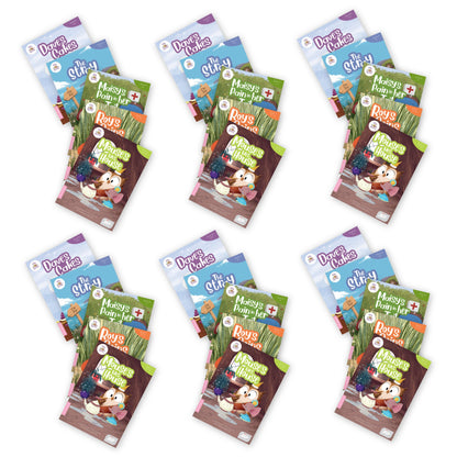 BiDee Phonics Decodable Readers  Series Complete Classroom Kit Series 1 & 2 (300 Books)