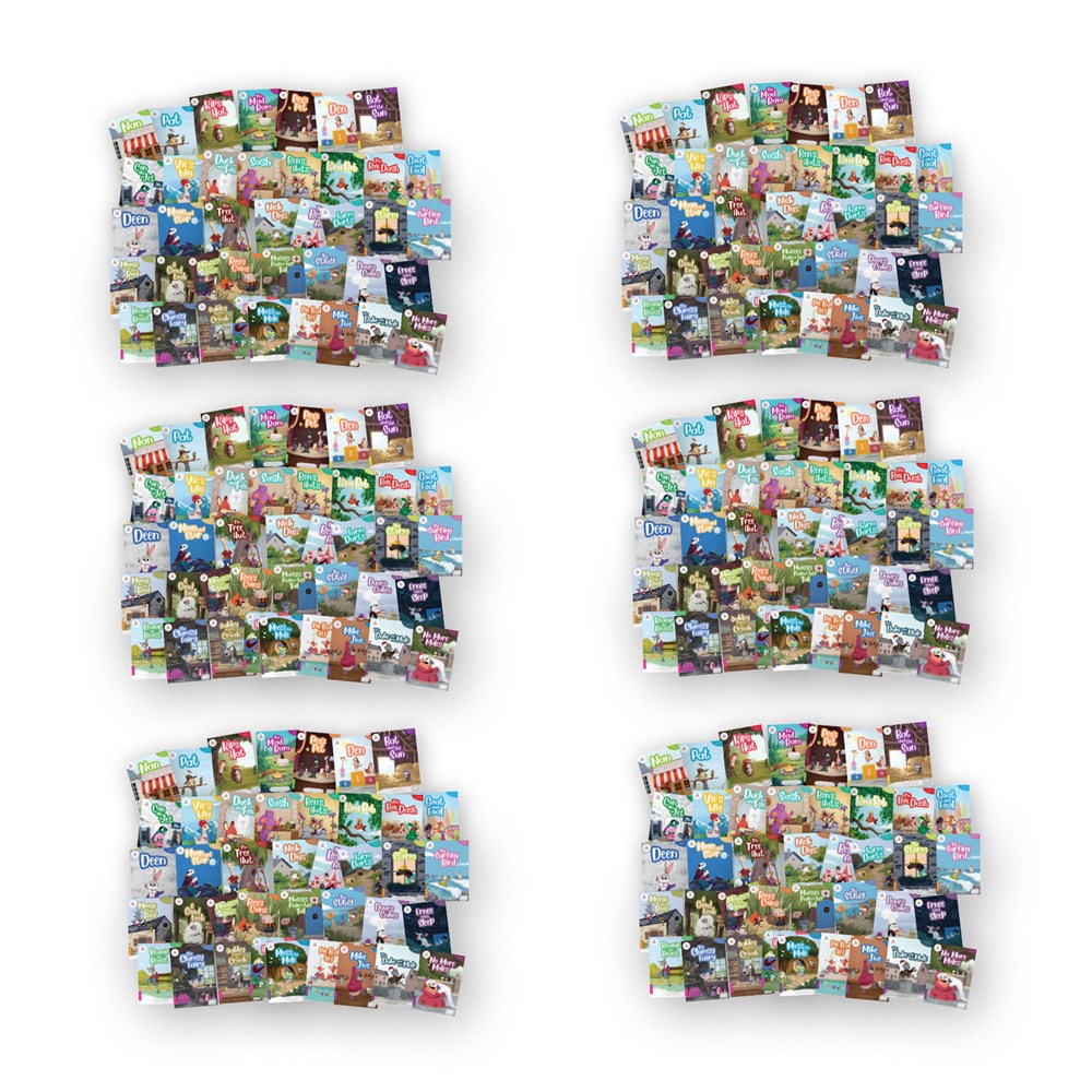 BiDee Phonics Decodable Readers  Series Complete Classroom Kit Series 1 & 2 (300 Books)