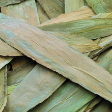 **Bamboo Leaves