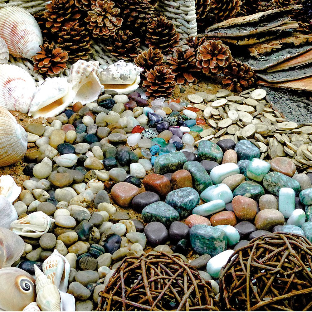 Natural Exploration Starter Pack