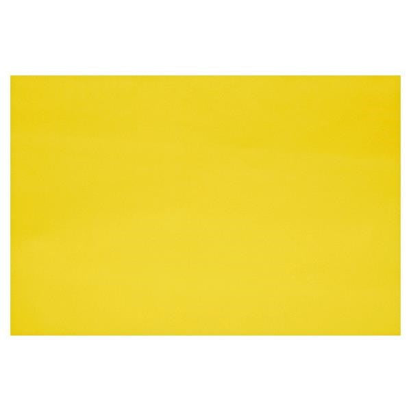 **Fadeless Display Rolls 1.2M X 3.7M Sunshine Yellow