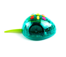 E.A.R.L Coding Robot