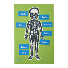 Skeleton Table Top