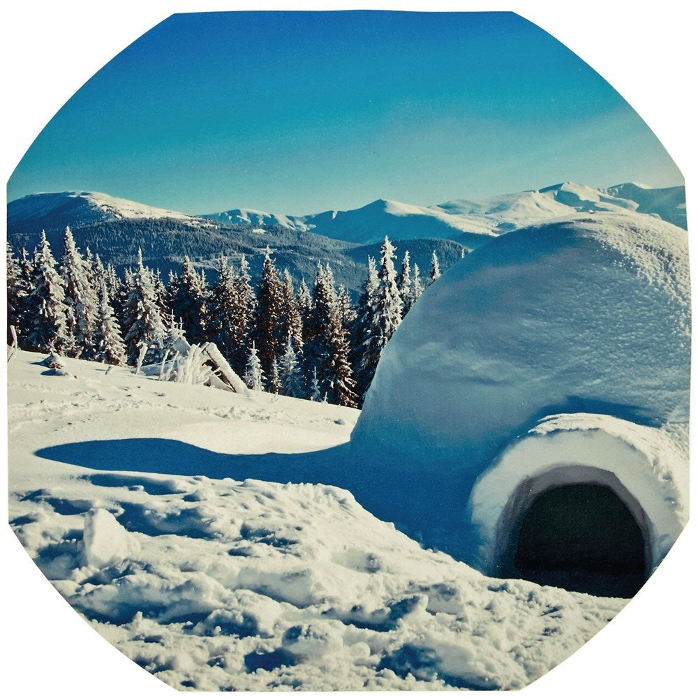 Antarctica Play Tray Mat