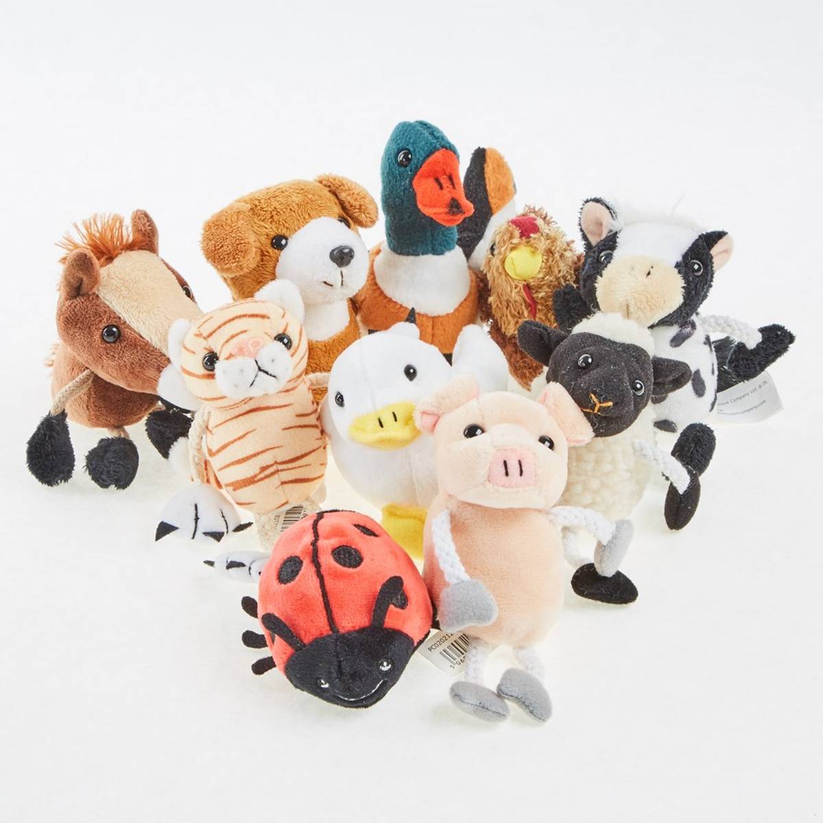 Travelling Tales What the Ladybird Heard