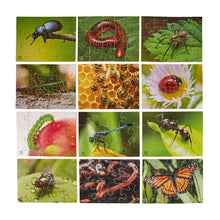 Mini Beasts Puzzles Pack of 12