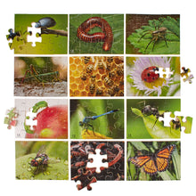 Mini Beasts Puzzles Pack of 12