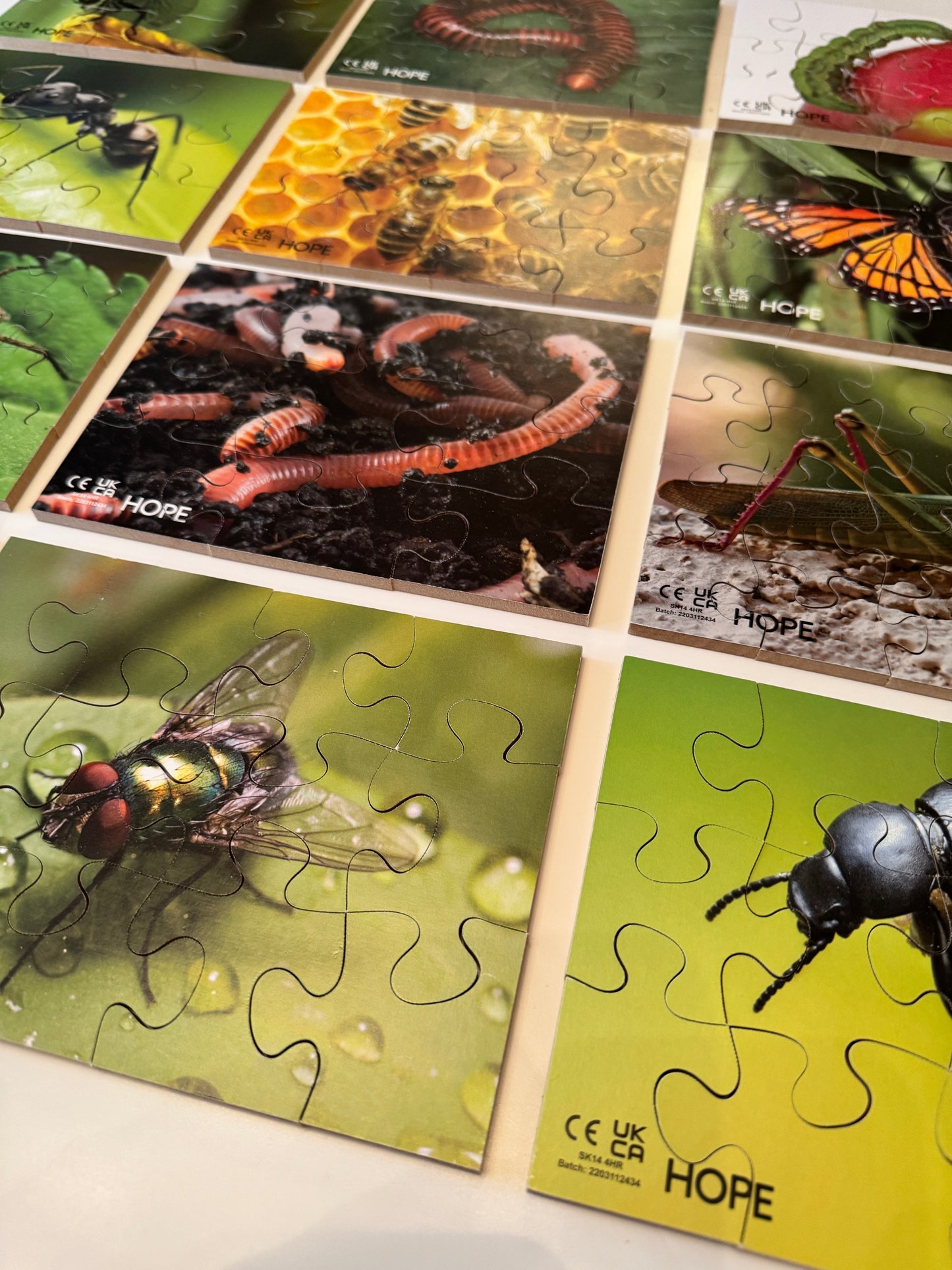 Mini Beasts Puzzles Pack of 12