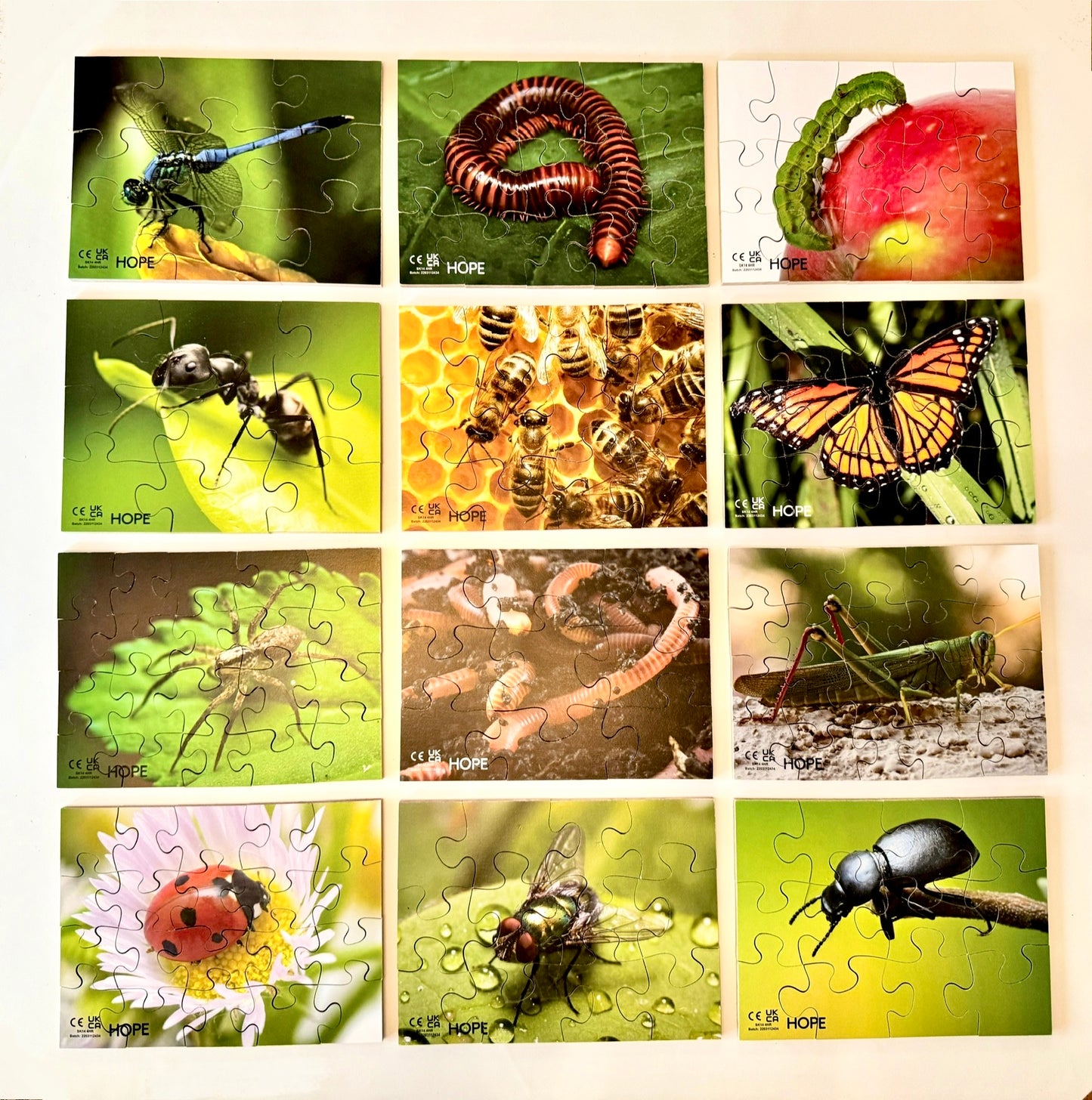 Mini Beasts Puzzles Pack of 12
