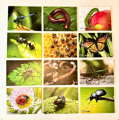 Mini Beasts Puzzles Pack of 12