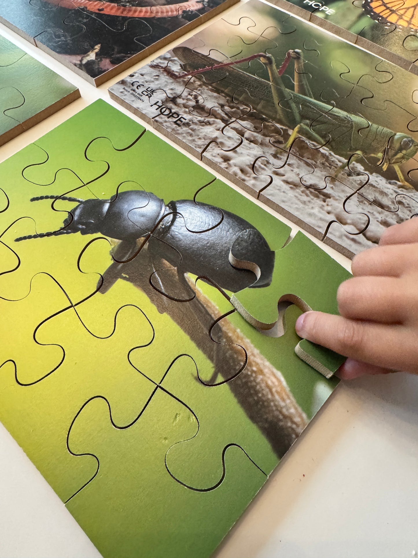 Mini Beasts Puzzles Pack of 12