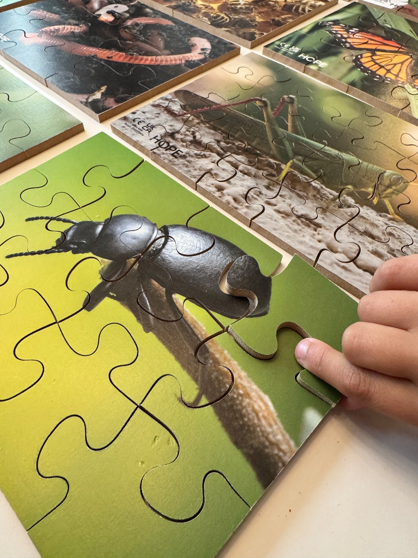 Mini Beasts Puzzles Pack of 12